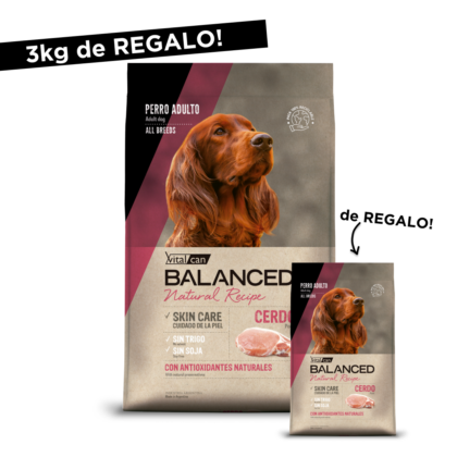 Vitalcan Balanced Natural Recipe Cerdo 15 kg + bolsa de 3Kg ...