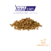 VitalCan Complete Perro Adulto 1Kg