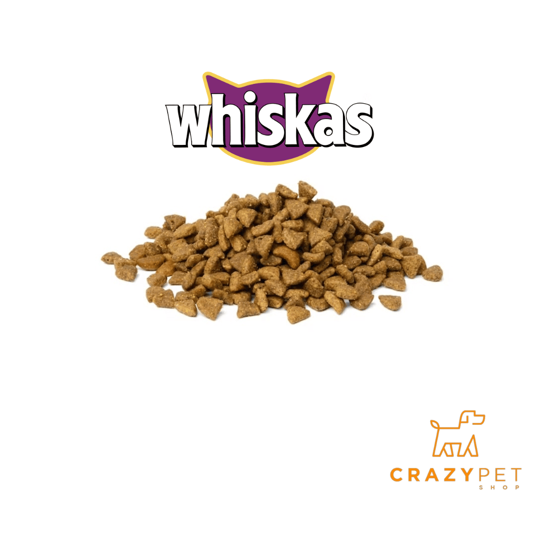 Whiskas 7+ Senior - Comida Seca para Gatos con Pollo, 1,9 kg (1 Whiskas 7+ Senior - Comida Seca para Gatos con Pollo, 1,9 kg (1